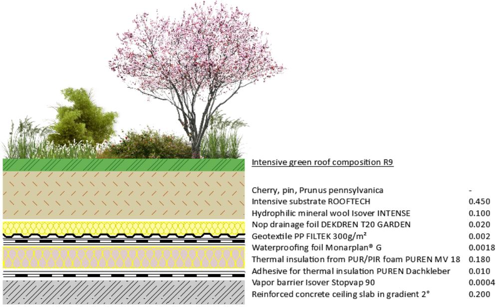 R9 - Cherry, pin, Prunus pennsylvanica